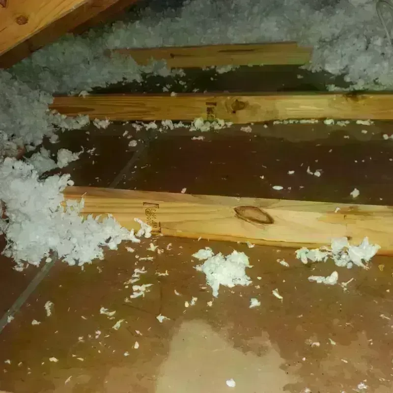 Attic Water Damage in Easley, SC