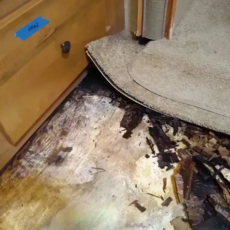 Wood Floor Water Damage in Easley, SC